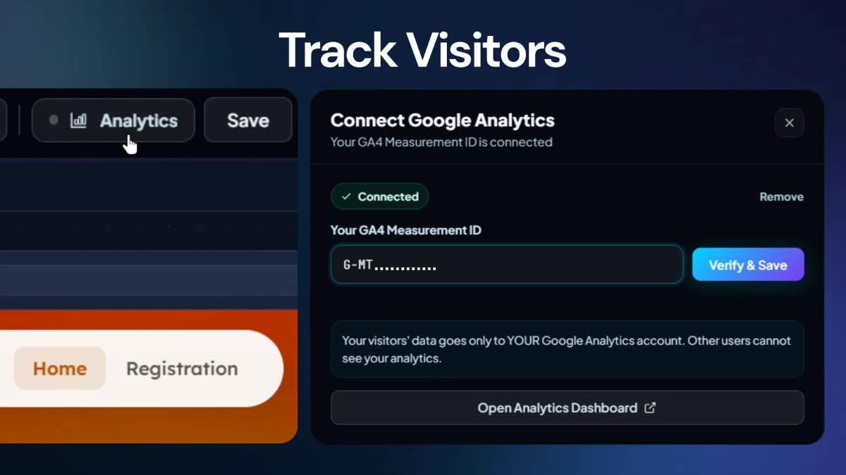 Mini Site visitor analytics view